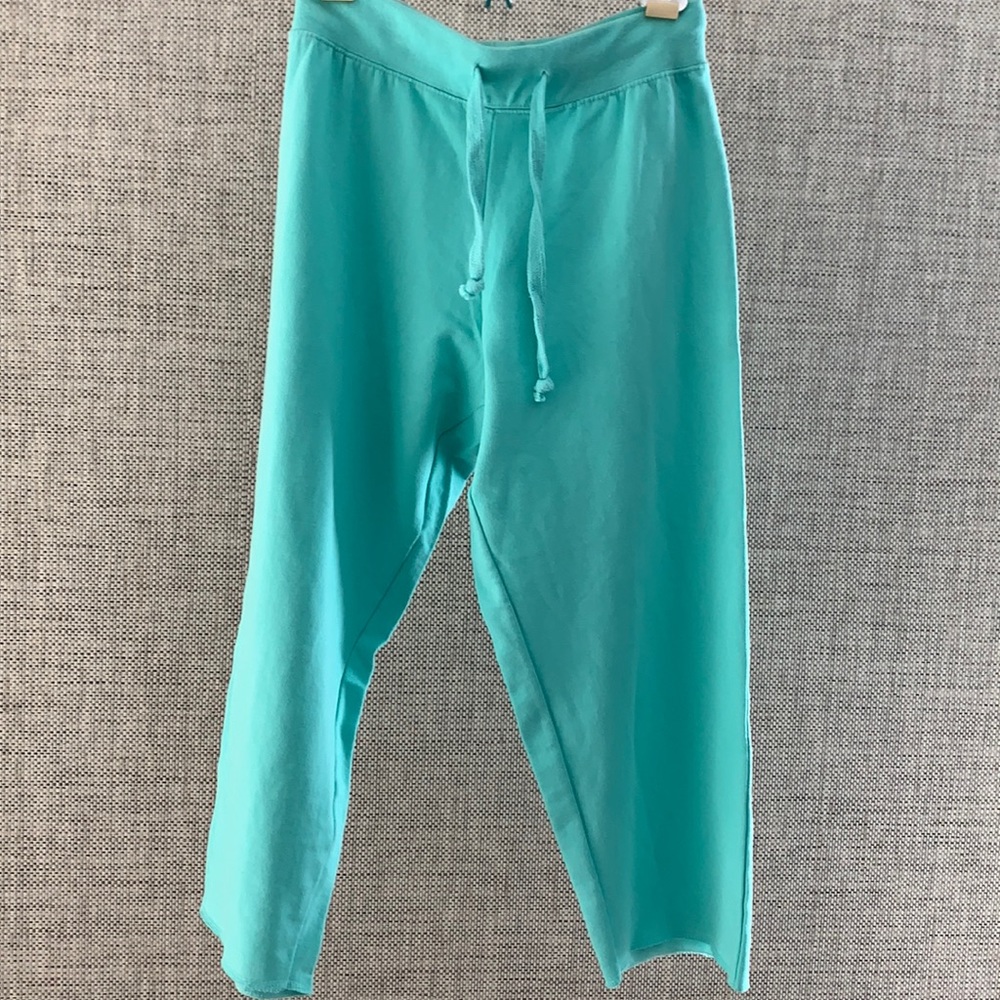Cropped sweatpants vineyard crew small aqua